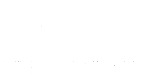 BCH White Logo